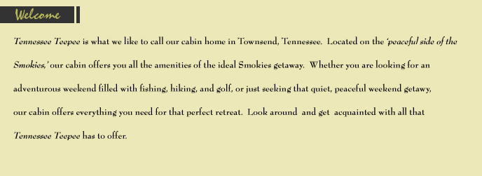 tennesseeteepee.com